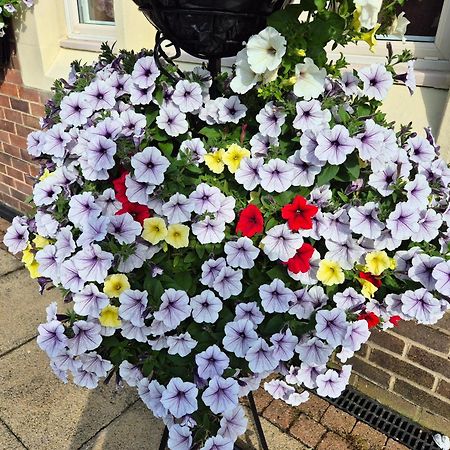 Dorset Arms Hotel Волсенд Екстер'єр фото