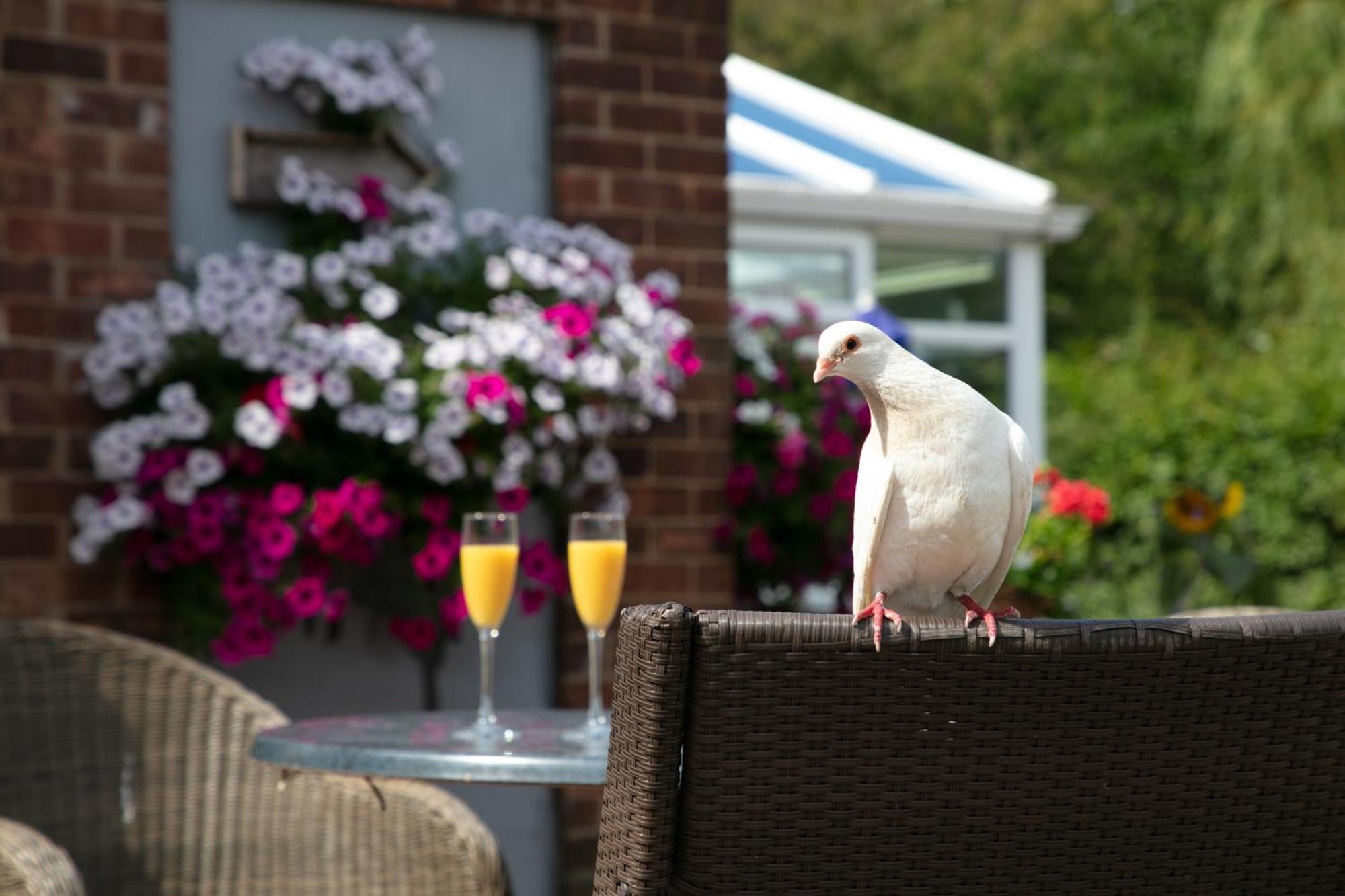 Dorset Arms Hotel Волсенд Екстер'єр фото